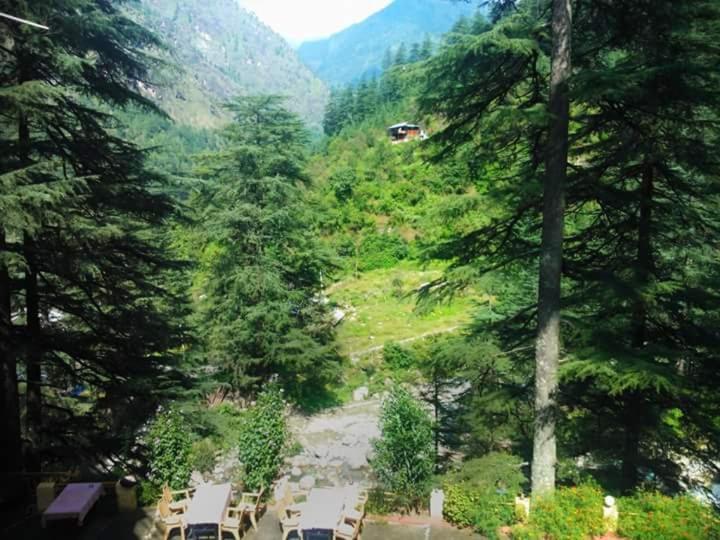 Hotel Deep Forest كاسول المظهر الخارجي الصورة