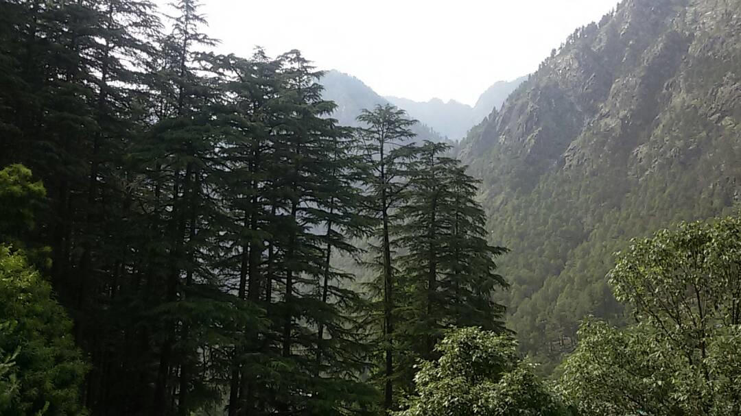 Hotel Deep Forest كاسول المظهر الخارجي الصورة